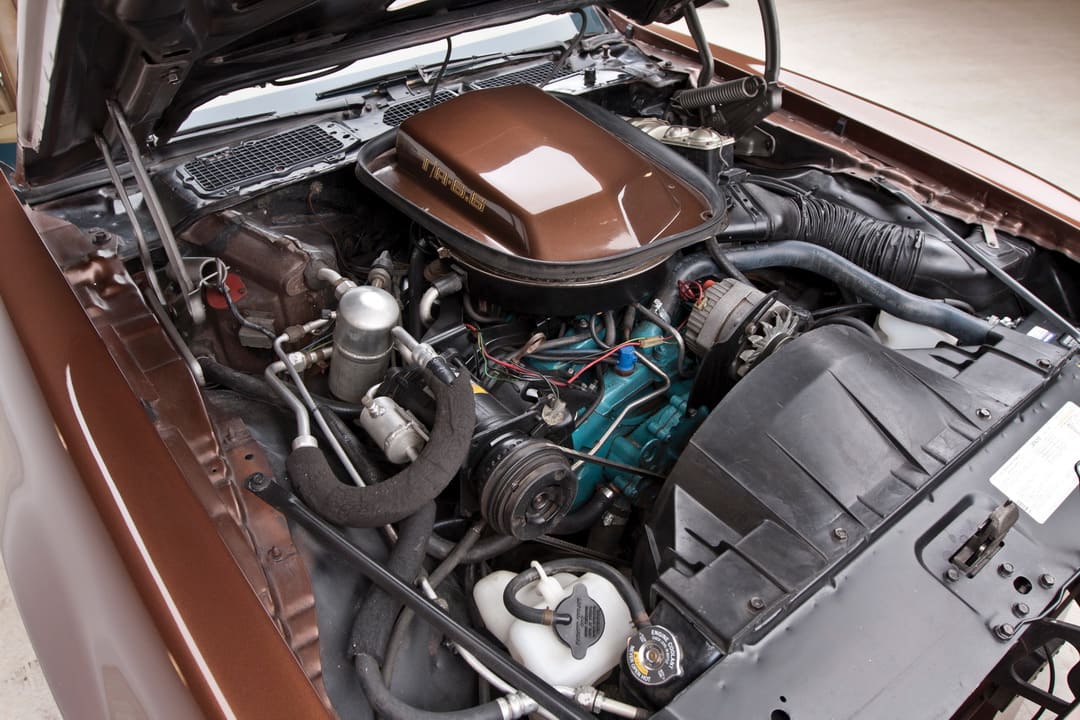Двигатель автомобиля Pontiac Firebird Trans Am '1979